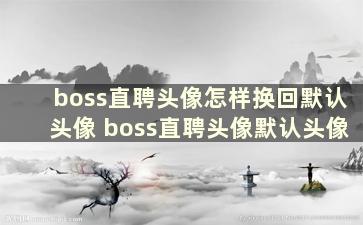 boss直聘头像怎样换回默认头像 boss直聘头像默认头像